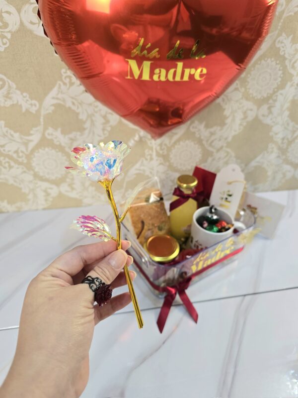 Cubeta Madre - Imagen 8