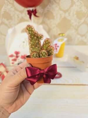 Mini Plantica o Captus